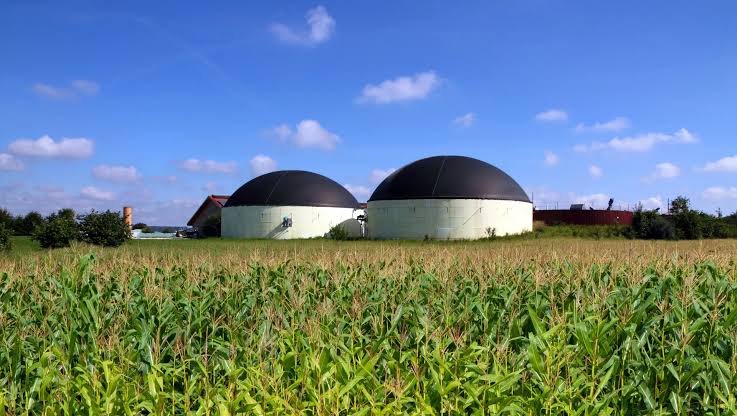 Fonte de energia elétrica biomassa